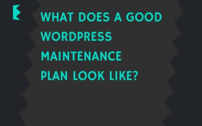 What does a good WordPress maintenance plan look like?
